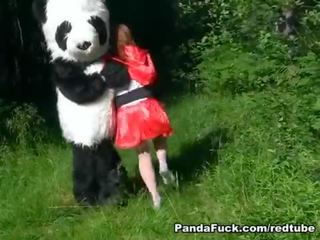 Röd ridning motorhuv körd av panda