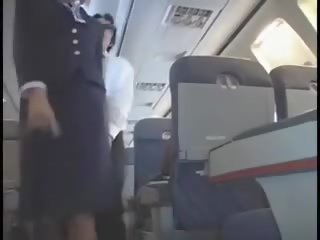 Amerika stewardes fantasi