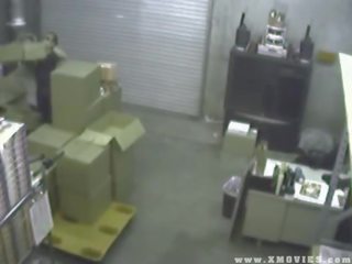 Veiligheid camera vangsten vrouw neuken haar werknemer