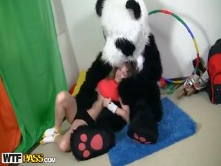 ספּוֹרטִיבִי beguiling נוער זיונים involving מצחיק panda
