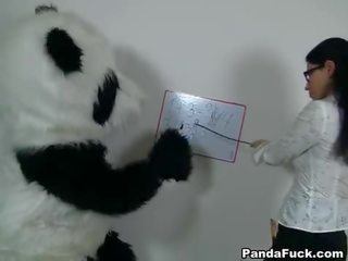 Captivating učiteľka pre desiring panda medveď