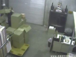 安全 凸輪 漁獲量 女人 他媽的 她的 employee