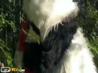 Little Red Riding Hood Fucking With Panda In The Wood