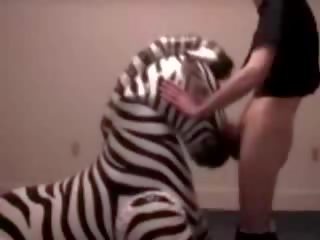 Zebra 得到 喉 性交 由 反常 bloke vid