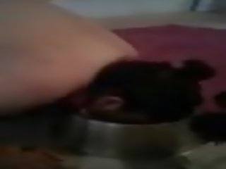 Saggy dog eats her dinner, free eating her out dhuwur definisi reged film fb