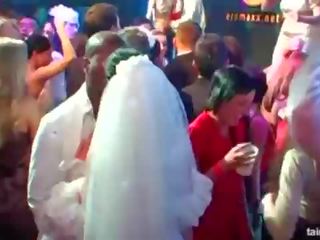 Incredible concupiscent brides suck big cocks in public