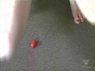 该 tomato 游戏 一 视频